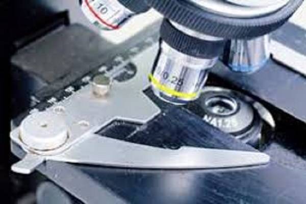 5 Datos para elegir un buen microscopio de laboratorio