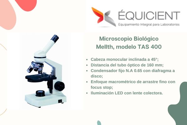 Microscopio binocular
