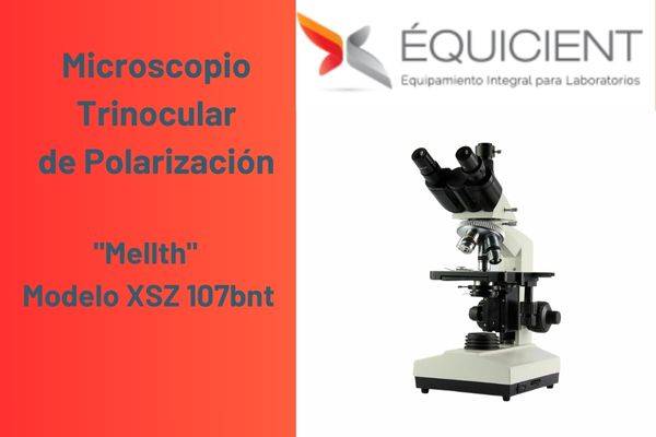 Microscopio trinocular de polarización
